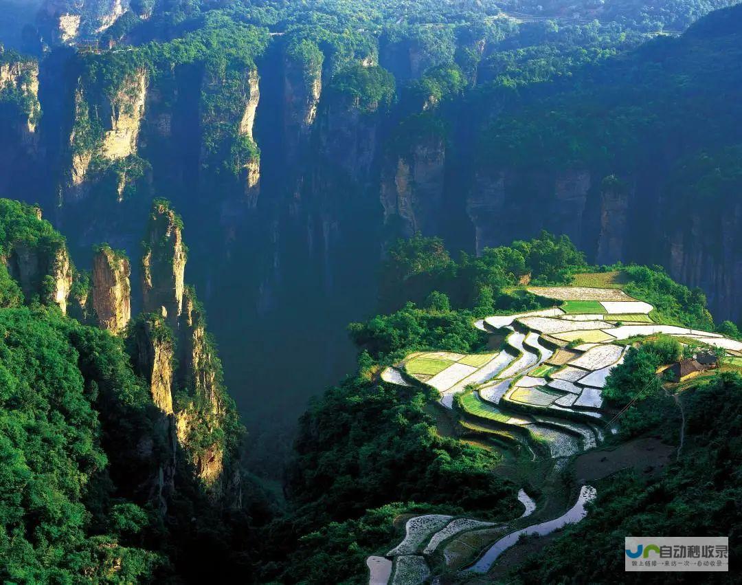 提升张家界旅游品牌形象：专业网站建设，助力景区宣传与推广