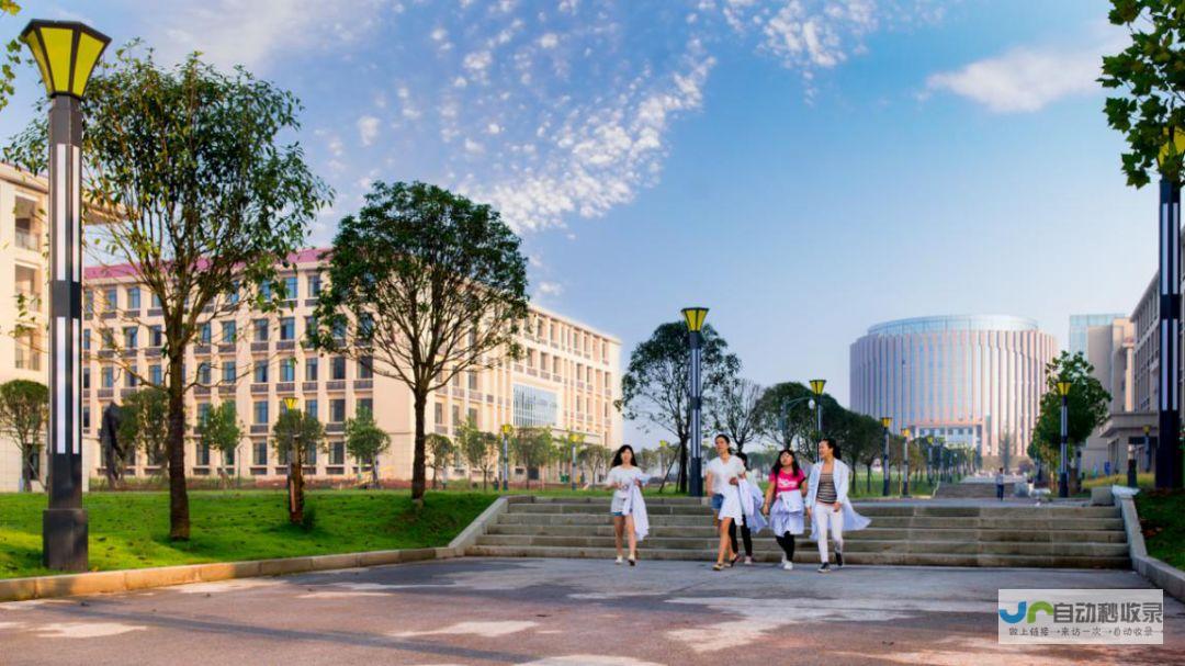 泸州专业网站建设服务：提升企业形象，拓展市场，助力泸州经济腾飞