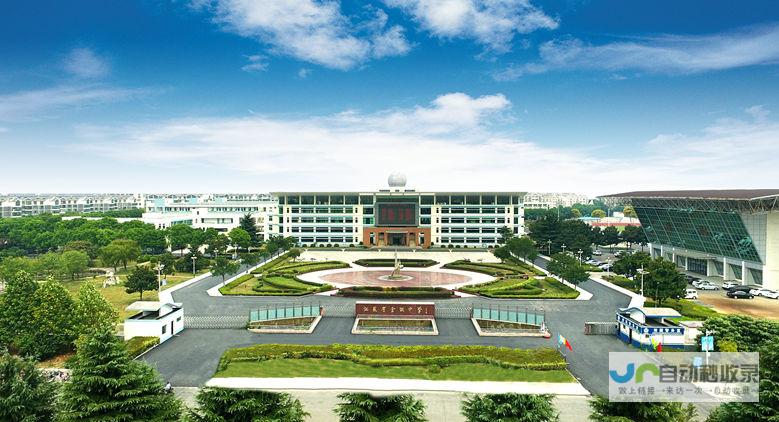 金湖专业网站建设：提升品牌形象，助力业务发展